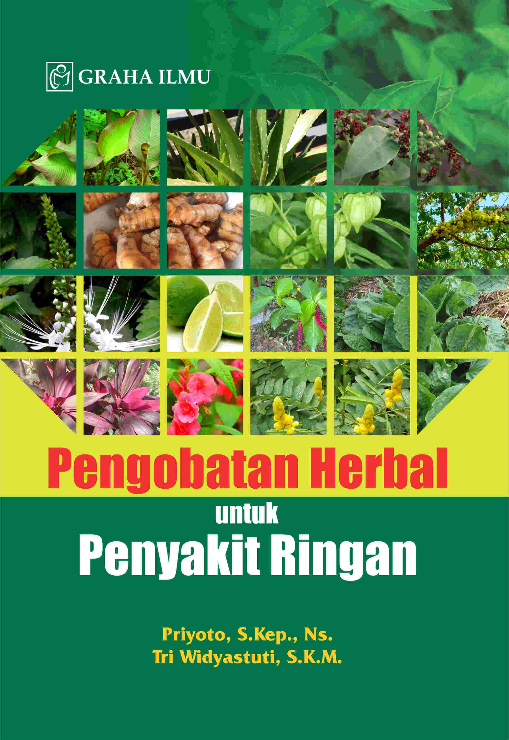 Sampul buku Pengobatan Herbal un...